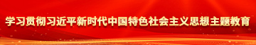 同房时女的夹着男人的鸡鸡学习贯彻习近平新时代中国特色社会主义思想主题教育